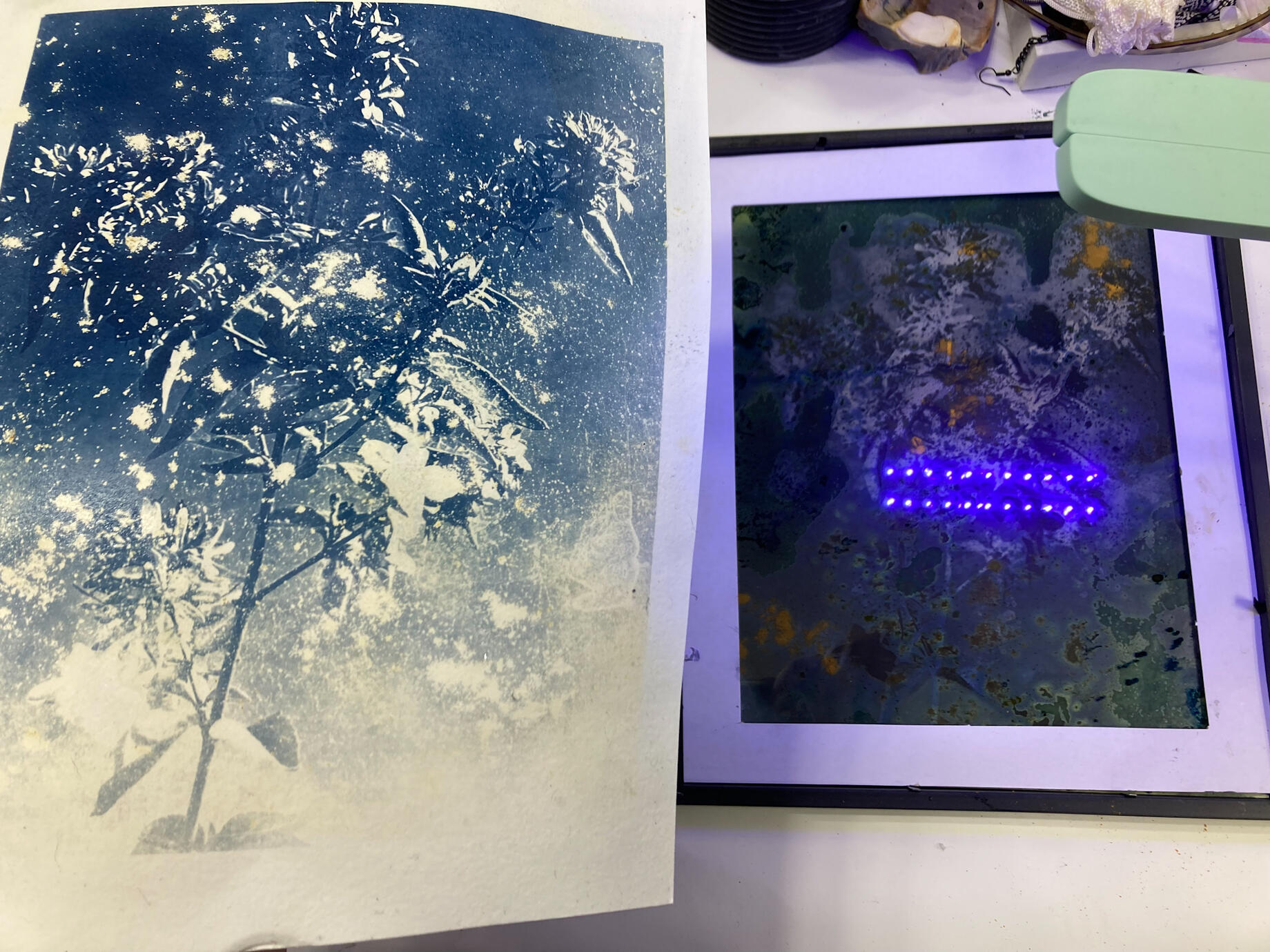 Cyanotype print and “wet cyanotype” print in progress.
