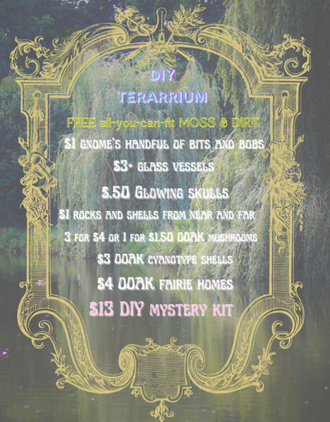 DIY terrarium price list